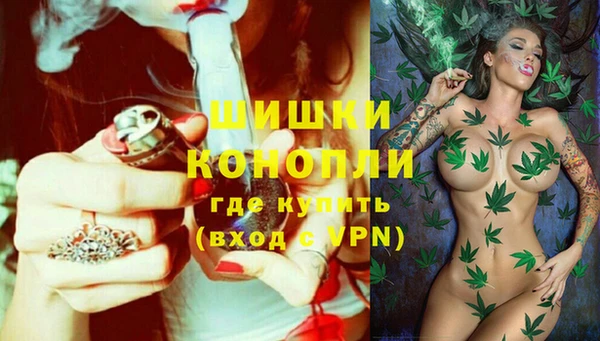 гидра Заволжск