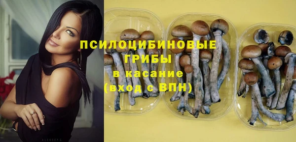 гидра Заволжск
