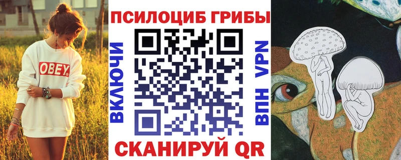 МЕГА как войти  где купить наркоту  Нижняя Салда  Псилоцибиновые грибы MAGIC MUSHROOMS 
